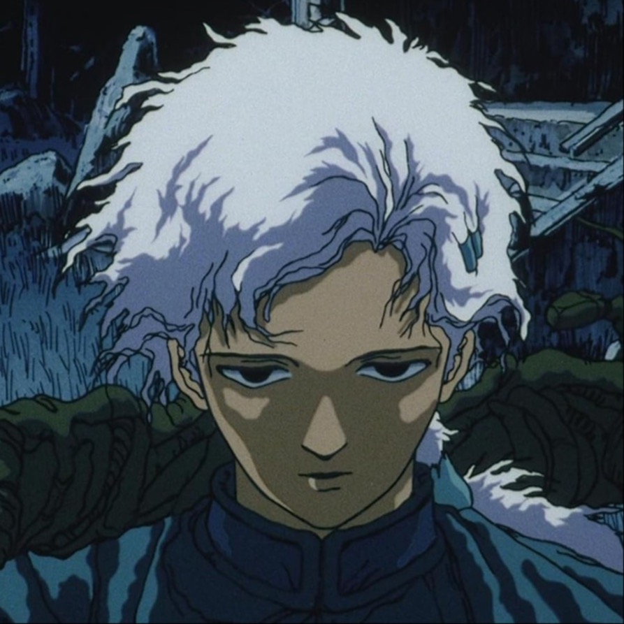 mold@yourwalls.today