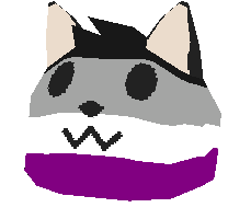 spinny_fox_ace