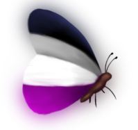 butterfly_ace