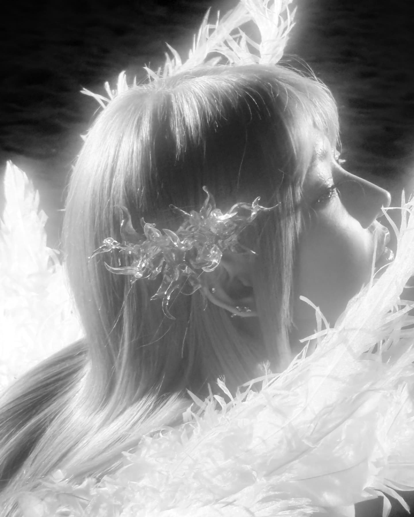 moonsea@omg.sayitditto.net