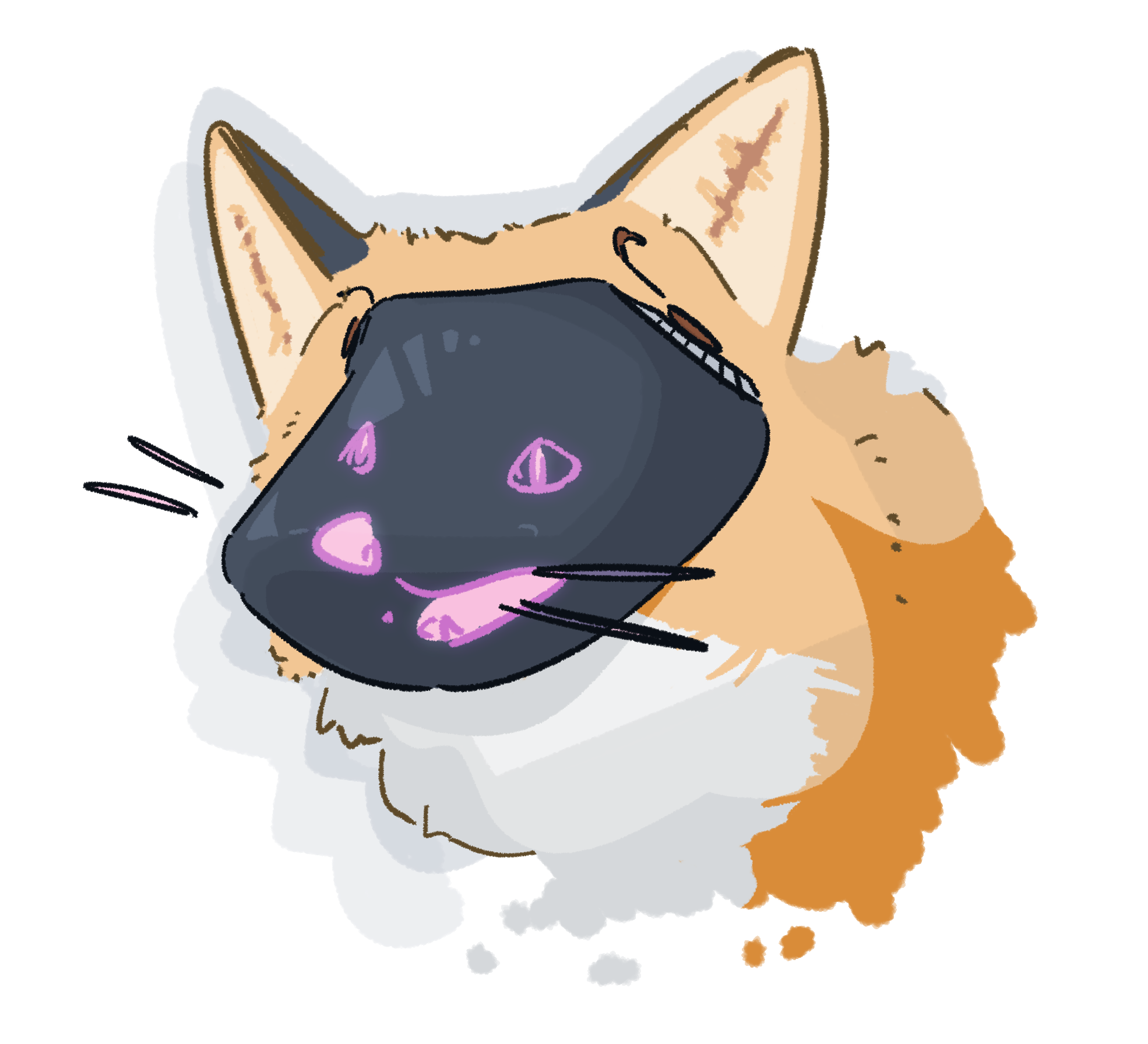 niko@gts.niko.lgbt