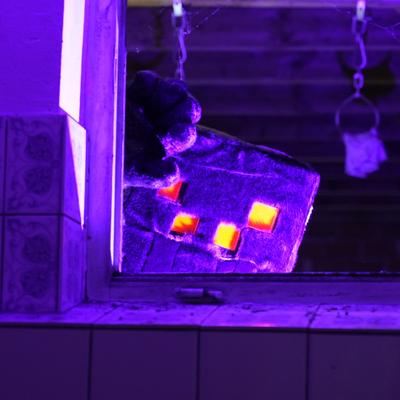 fxk8y@furry.engineer