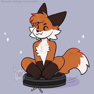 NaiaRLOMaster@tech.lgbt