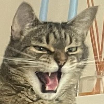 NickSchwanck@aus.social