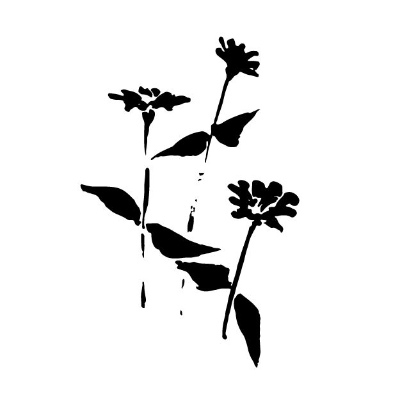 kishy@merveilles.town